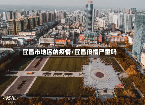宜昌市地区的疫情/宜昌役情严重吗