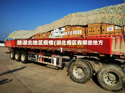 除湖北地区疫情(湖北疫区有哪些地方)