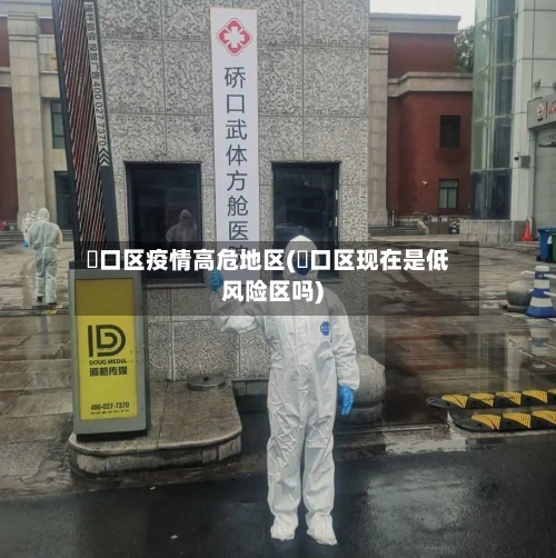 硚口区疫情高危地区(硚口区现在是低风险区吗)-第2张图片