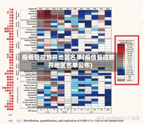 疫情管控放开地区名单(疫情管控放开地区名单公布)
