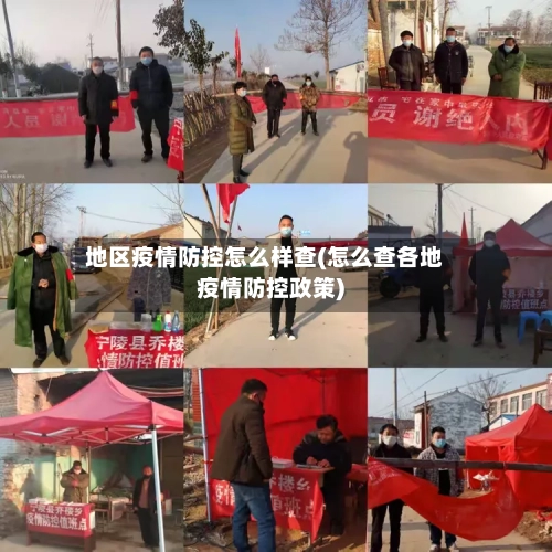 地区疫情防控怎么样查(怎么查各地疫情防控政策)
