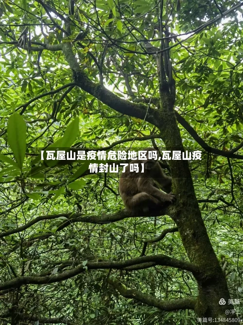 【瓦屋山是疫情危险地区吗,瓦屋山疫情封山了吗】