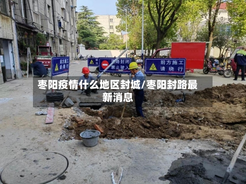 枣阳疫情什么地区封城/枣阳封路最新消息