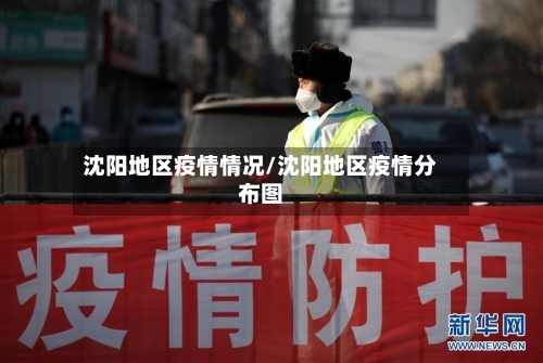 沈阳地区疫情情况/沈阳地区疫情分布图
