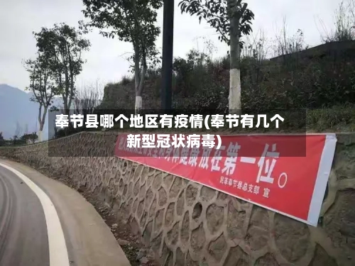 奉节县哪个地区有疫情(奉节有几个新型冠状病毒)